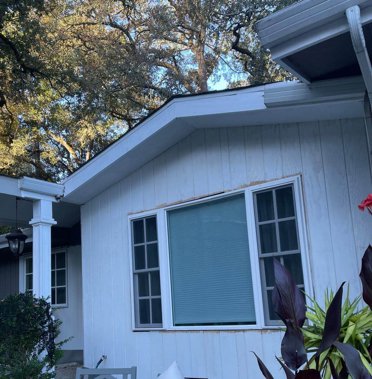 Siding and Trim Repair and Installation